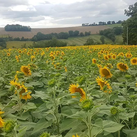A La Campagne Apartmán Gazaupouy