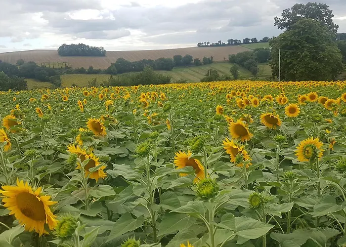 A La Campagne Apartmán Gazaupouy